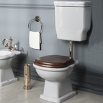 TW Bristol Унитаз приставной с низким бачком золото- фото5