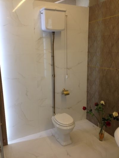 Simas Arcade AR801/811 Унитаз напольный с высокой трубой/ бронза- фото3