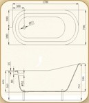 Ванна чугунная RECOR Slipper 170x76 с золотыми ногами- фото4