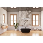 Ванна Frank F6103 Black/Black отдельностоящая.- фото4