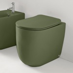 Kerasan Nolita Унитаз безободковый пристенный 55х35 см, с креплениями WB5N, цвет Verde muschio- фото