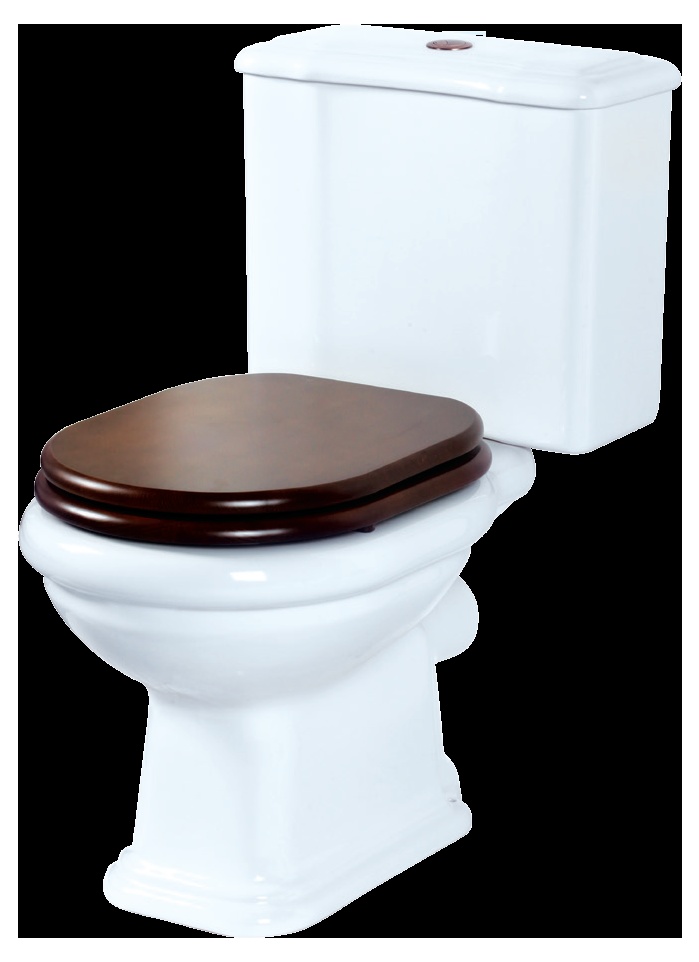 Унитаз напольный Migliore Augusta, ВЫПУСК В СТЕНУ (БЕЗ КРЫШКИ)