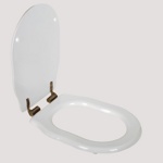 TW Bristol Сиденье для унитаза soft-close белый/бронза- фото