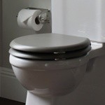 Сиденье на унитаз Arcade, цвет Оливковый матовый, НИКЕЛЬ- фото2