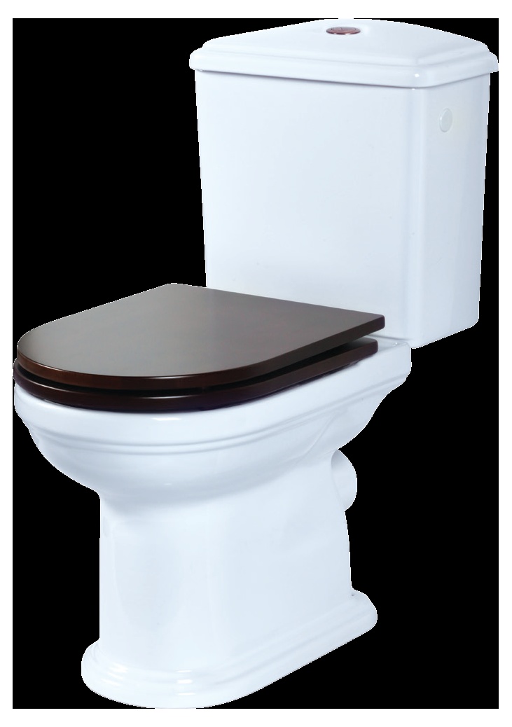 Унитаз напольный Migliore Flavia, ВЫПУСК В СТЕНУ (БЕЗ КРЫШКИ)