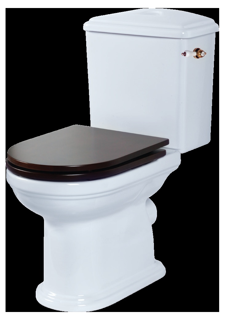 Унитаз напольный Migliore Flavia, ВЫПУСК В СТЕНУ (БЕЗ КРЫШКИ)