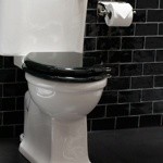 Сиденье на унитаз Arcade, цвет Чёрный глянцевый, НИКЕЛЬ- фото3