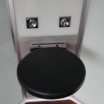 Гидромассажная кабина EAGO DZ955 F8 1200x900x2300 мм правая  ЧЕРНОЕ СТЕКЛО- фото2