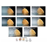 Душевое ограждение в проем Vegas EP-F-1 100 золото профиль/прозрачное стекло- фото3